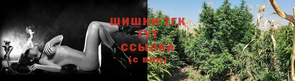 марихуана Белокуриха