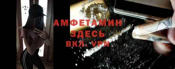 гидра Богородицк