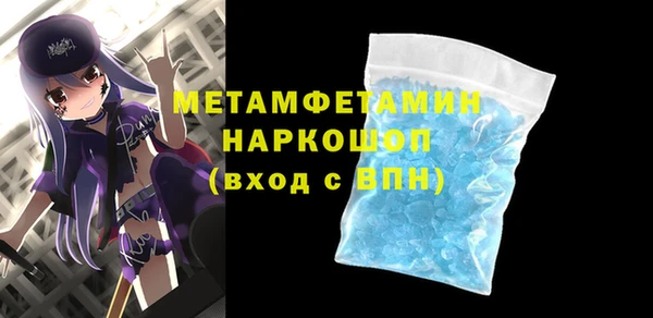 гидра Богородицк