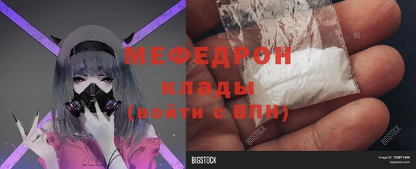 гидра Богородицк