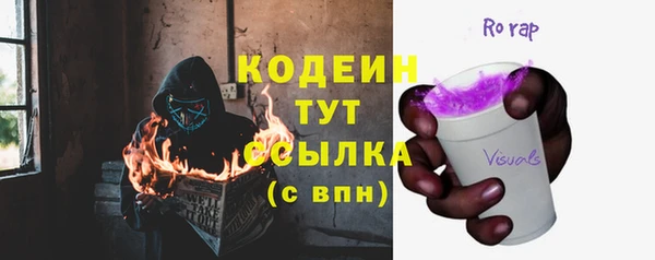 дмт Богданович