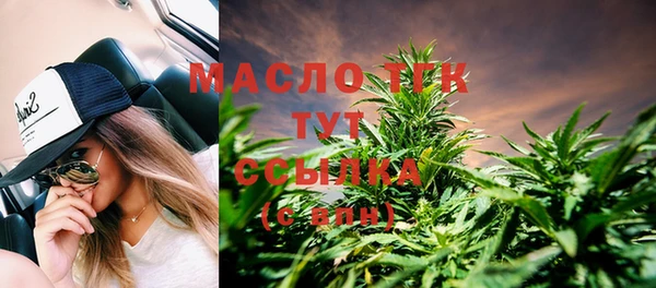 гидра Богородицк
