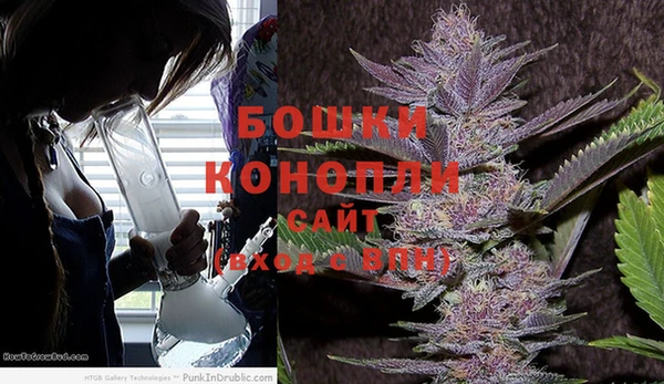 марихуана Белокуриха
