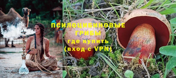 дмт Богданович