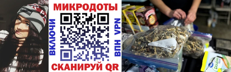 Галлюциногенные грибы Cubensis  закладки  Красноярск 